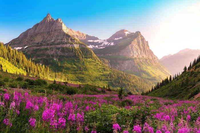 National parks usa most top visited park united states america map visit photography tips National parks usa most top visited park united states america map visit photography tips